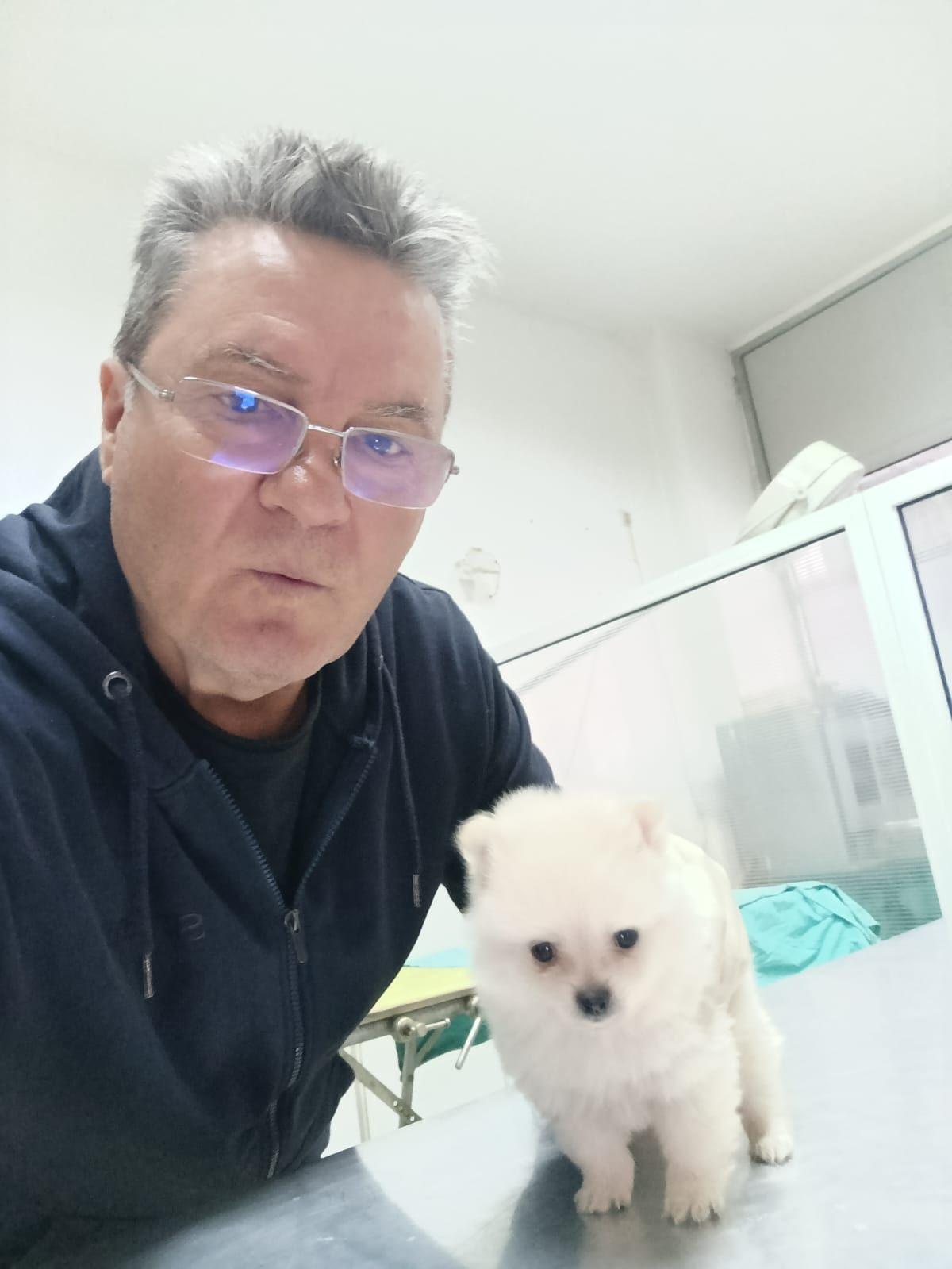 Dr Goran Stojanović, veterinar specijalista, sa belim štenetom pomeranca u ordinaciji Dr Goran u Nišu